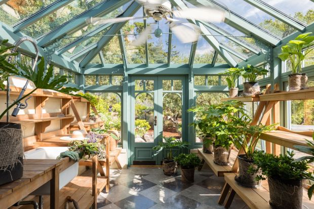 Inside greenhouse. Cedar plank shelves.