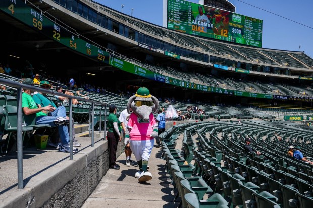 A few fans sit in the bleachers as Oakland Athletics mascot, Stomper, walks past during an MLB game against the Kansas City Royals at the Coliseum in Oakland, Calif., on Wednesday, Aug. 23, 2023. (Ray Chavez/Bay Area News Group)