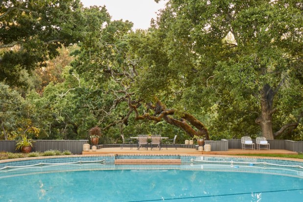 Swimming pool under canopy trees.