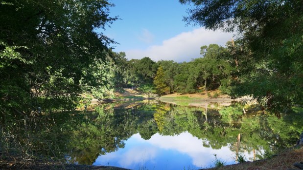 Private reservoir on estate.