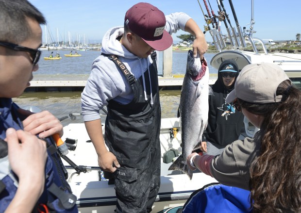 Thanh Dang of San Jose picks up a salmon caught on his boat The Sea Monkey for for California Department of Fish and Wildlife technician Amanda McDermott to see as Dang's friends Frank Wong, left, and Theo Ta look on during the opening day of the recreational salmon season at Moss Landing Harbor on Saturday April 1, 2017. (David Royal - Monterey Herald)