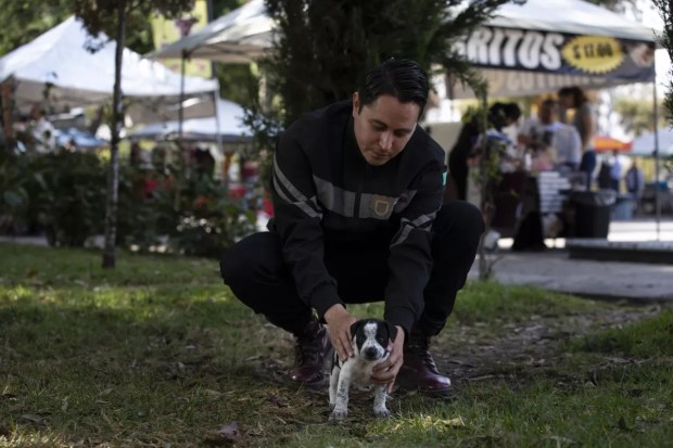 Mexican Inspector Iván Bringas holds his puppy, Volpi, which he adopted after an operation at the San Ysidro border crossing. (Ana Ramirez/The San Diego Union-Tribune)