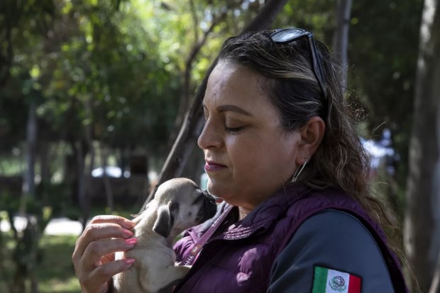 Claudia de la Torre, head of inspection at the San Ysidro border, with the puppy she adopted after an operation at the San Ysidro border. (Ana Ramirez/The San Diego Union-Tribune)