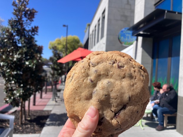 The giant chocolate chip cookie from Little Sky Bakery in Menlo Park comes packed with walnuts, pecans, dried apricot bits, and of course, chocolate chunks. (Kate Bradshaw/Bay Area News Group)