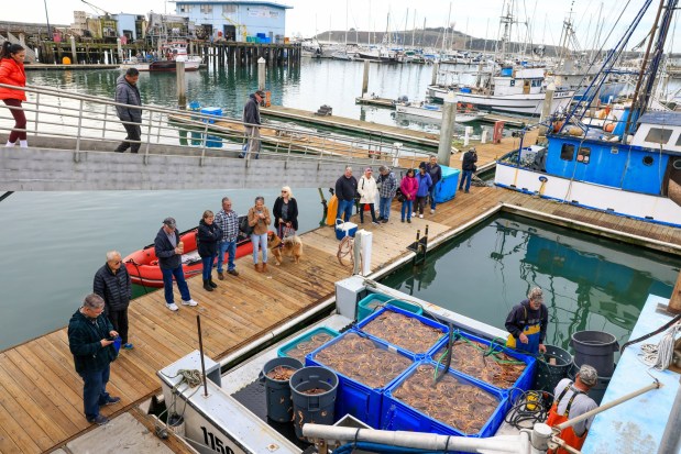 People wait in line to buy fresh Dungeness crab from a fishing boat during the first official day of commercial crab fishing season at Pillar Point Harbor in Half Moon Bay, Calif., on Thursday, Jan. 18, 2024. (Ray Chavez/Bay Area News Group)