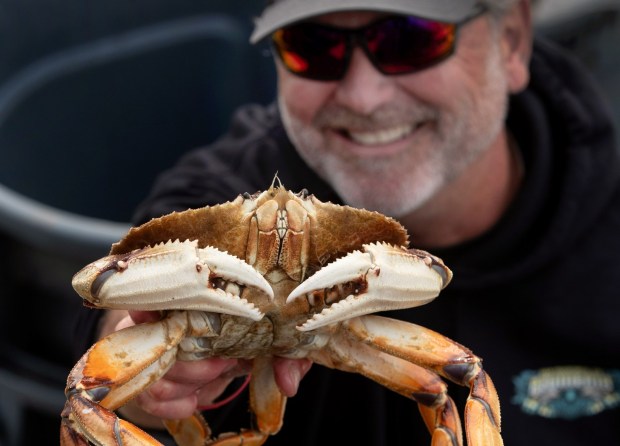 Neil Frasier holds up the first Dungeness crab of the season sold from the fishing boat Plumeria at Fisherman's Wharf, Thursday, Jan. 18, 2024. The 2.4 pound crustacean was among the catch coming in to port after a two-month long crab season delay. (Karl Mondon/Bay Area News Group)