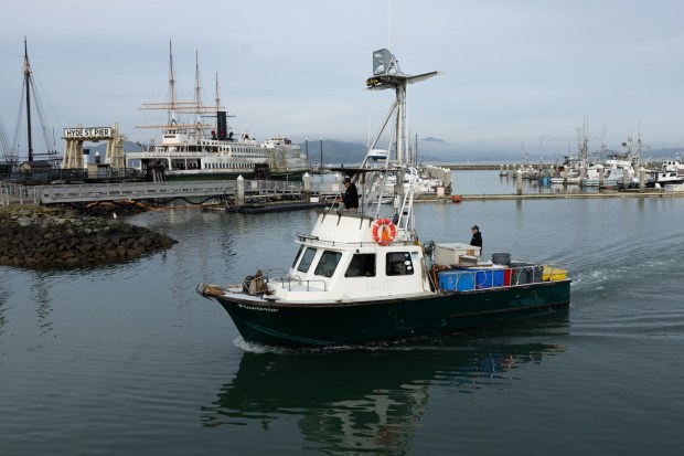 Matt Juanes brings the Plumeria back into Fisherman's Wharf in San Francisco, Calif., with the first crab catch of the season, Thursday, Jan. 18, 2024. The commercial fishing season was delayed for two-months out of concern from marine mammals. (Karl Mondon/Bay Area News Group)