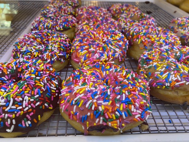 Vegan Bistro Donuts, with locations in San Jose and Oakland, sells a wide variety of cake and raised varieties, from Thursday through Sunday. (Bay Area News Group)