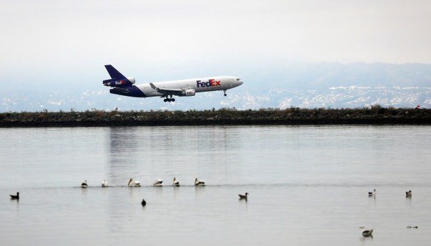 Pelicans and gulls swim near the Oakland International Airport on Thursday, Sept. 15, 2023, in Oakland, Calif. (Aric Crabb/Bay Area News Group)