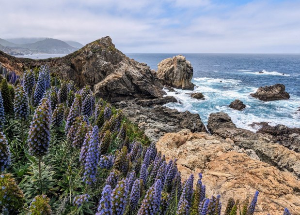 Rocky Point, located 10 miles south of Carmel on Highway 1, is known for its stunning views of the Big Sur Coast. Rocky Point Restaurant, located there, operated from 1947 to 2020, but closed during the COVID pandemic. It was purchased in 2021 for $8 million by Esperanza Carmel, a real estate company controlled by Monaco billionaire Patrice Pastor. (Photo: Paul Rogers, Bay Area News Group)