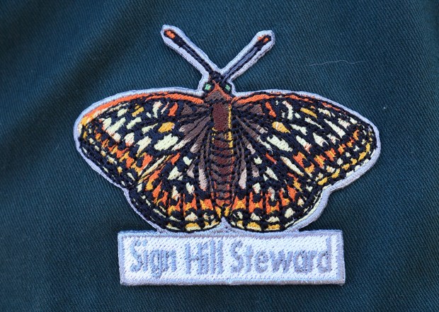 A member of the Sign Hill Stewards wears his Mission blue patch earned for volunteering 50 hours to restore habitat for the critically-endangered butterfly on South San Francisco's Sign Hill, Friday, Nov. 17, 2023. (Karl Mondon/Bay Area News Group)