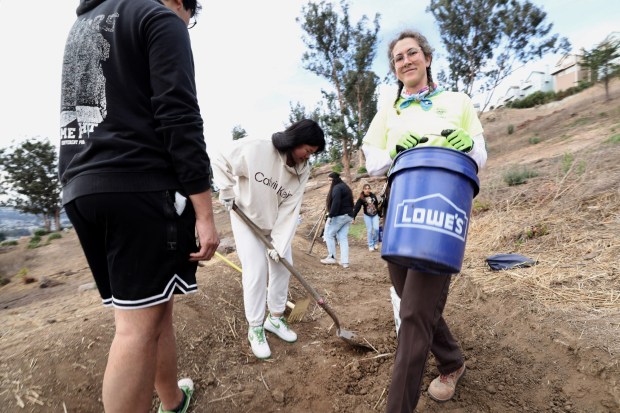 Candace LaCroix, natural resources specialist for the city of South San Francisco, leads a group of Sign Hill Stewards on an erosion control project, Friday, Nov. 17, 2023, in South San Francisco, Calif. (Karl Mondon/Bay Area News Group)