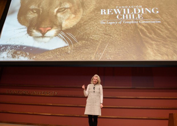 Kris Tompkins, the cofounder and president of Tompkins Conservation, celebrated the donation of personal and professional archives about conservation efforts in Chile and Argentina at an April 22 event at Stanford University. Their materials will be used in future research on environmental policy, conservation, philanthropy, and environmental activism. (Photo by Steve Castillo)