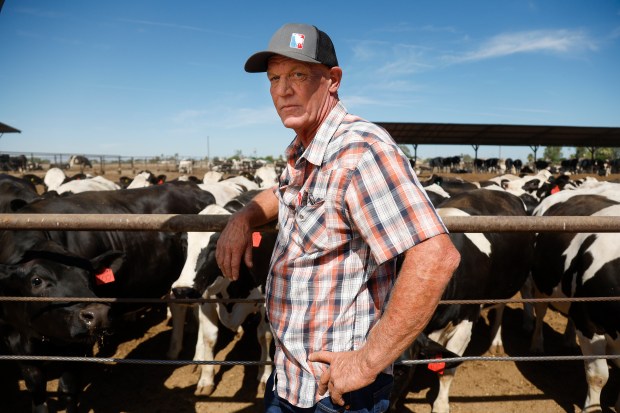 STRATFORD, CALIFORNIA - JULY 8: Jim Wilson, owner of J & D Wilson & Sons Dairy, poses for a photograph in front of some of his Holsteins, dairy cows, on his farm in Stratford, Calif., on Friday, July 8, 2022. (Nhat V. Meyer/Bay Area News Group)