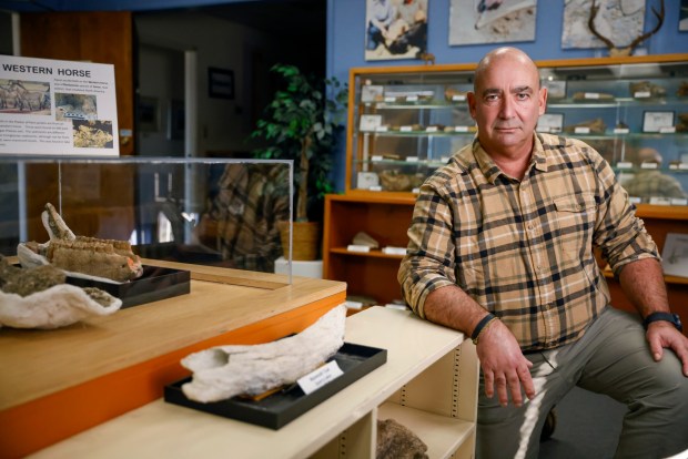 Jim Walker, a paleontologist who monitors major construction sites for fossils, kneels next to a fossil found in the Bay Area at the Children's Natural History Museum in Fremont, Calif., on Thursday, Jan. 11, 2024. (Shae Hammond/Bay Area News Group)